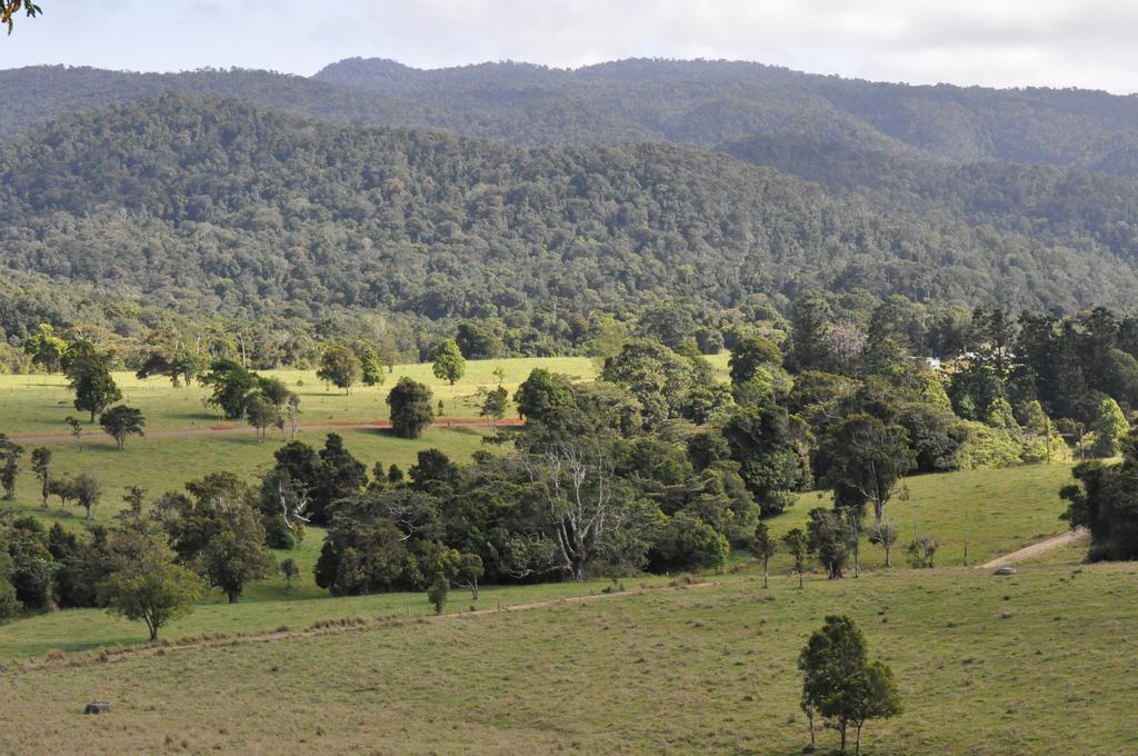 The Jungle Stays Millaa Millaa Exterior photo